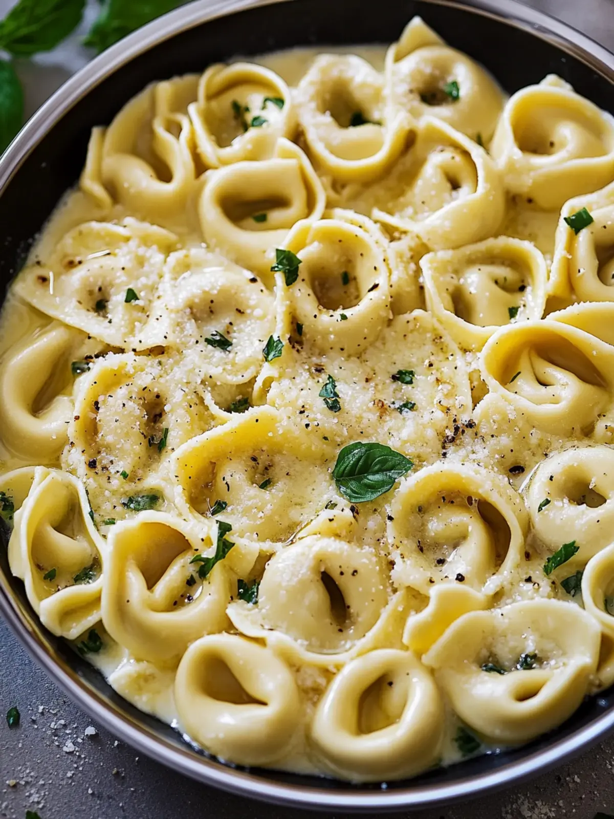 Cremige Asiago Käse Tortellini